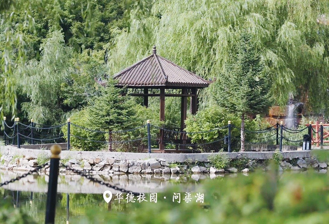 开云真人下载中心