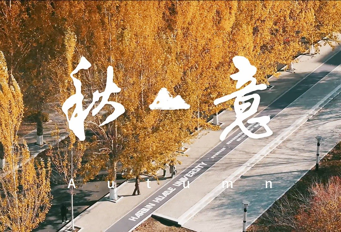 Copyright © 2022开云