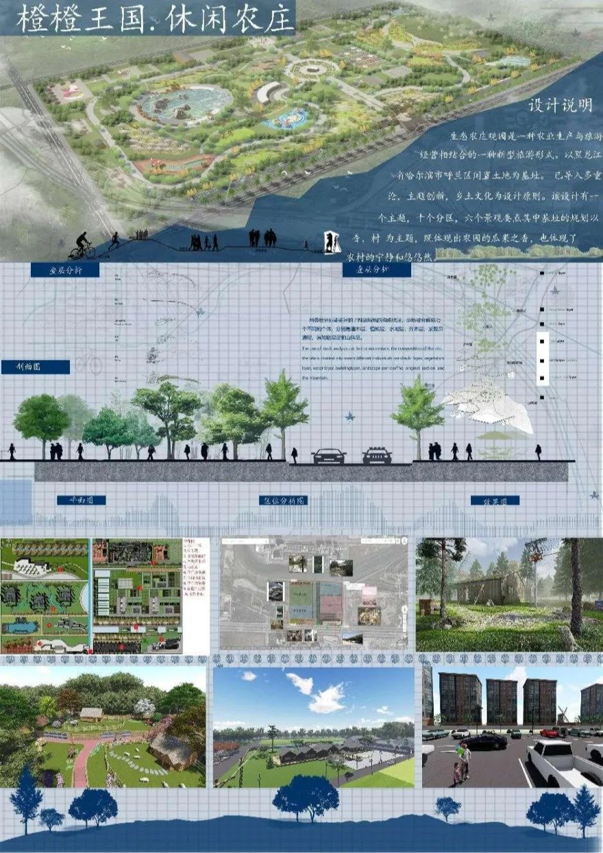 持续擦亮龙江银色育人品牌
