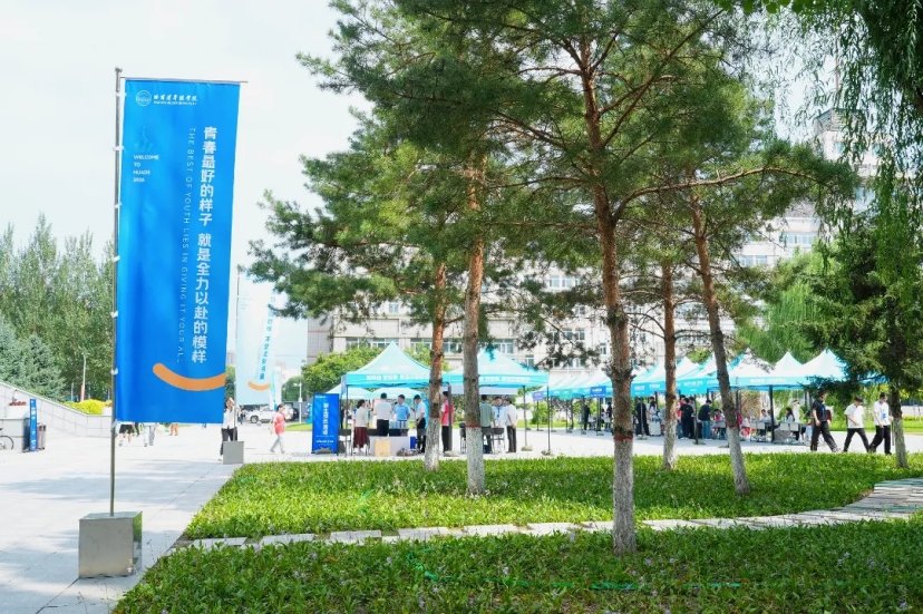 他们不止是帮搬行李的暖心帮手更是熟悉