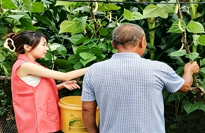 美育兴乡