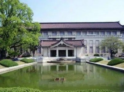 一起解锁国际范的成长体验