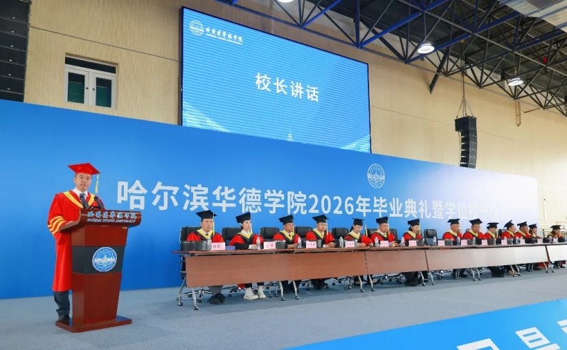 更是并肩同行的挚友