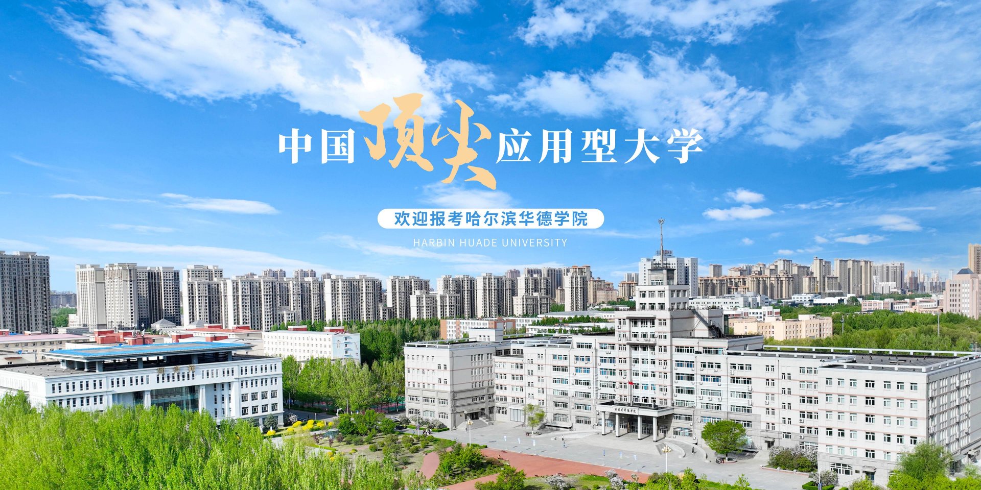 由开云真人下载中心手机版登录国际文化