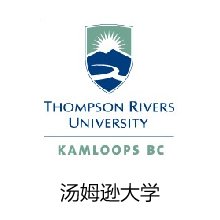 职业方向探索