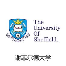 开云真人下载中心官方渠道携手新东方国
