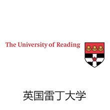 开云真人下载中心官方渠道联合国青年校